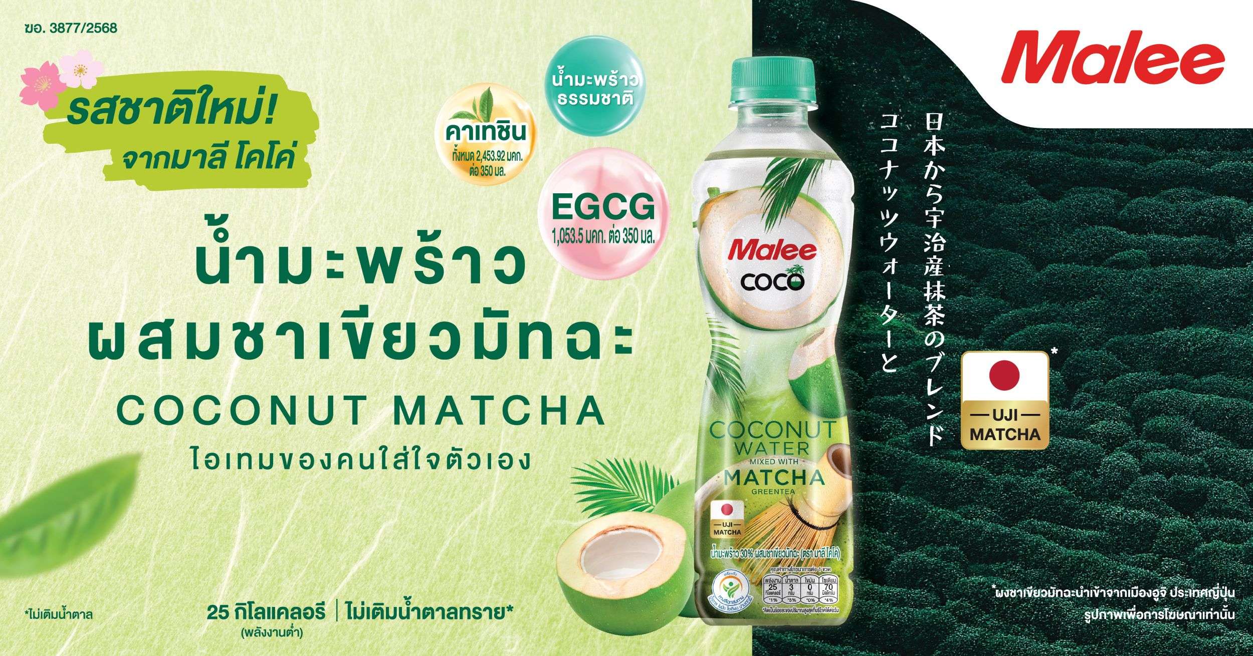 ผลิตภัณฑ์ใหม่ น้ำมะพร้าวผสมชาเขียวมัทฉะ Malee COCO Matcha