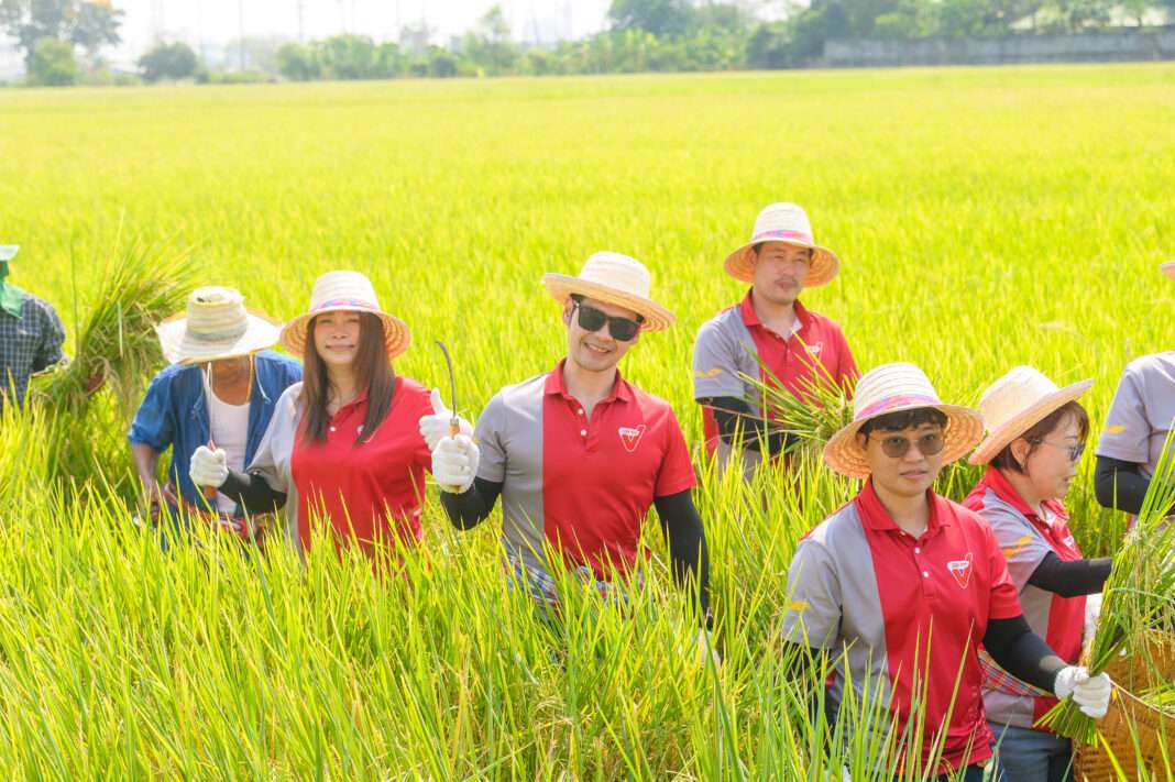 svt-team-low-carbon-rice-field-farmers.jpg ทีมงาน SVT ลงพื้นที่แปลงนาข้าวคาร์บอนต่ำ สนับสนุนเกษตรกรในการทำนาแบบลดภาวะโลกร้อน