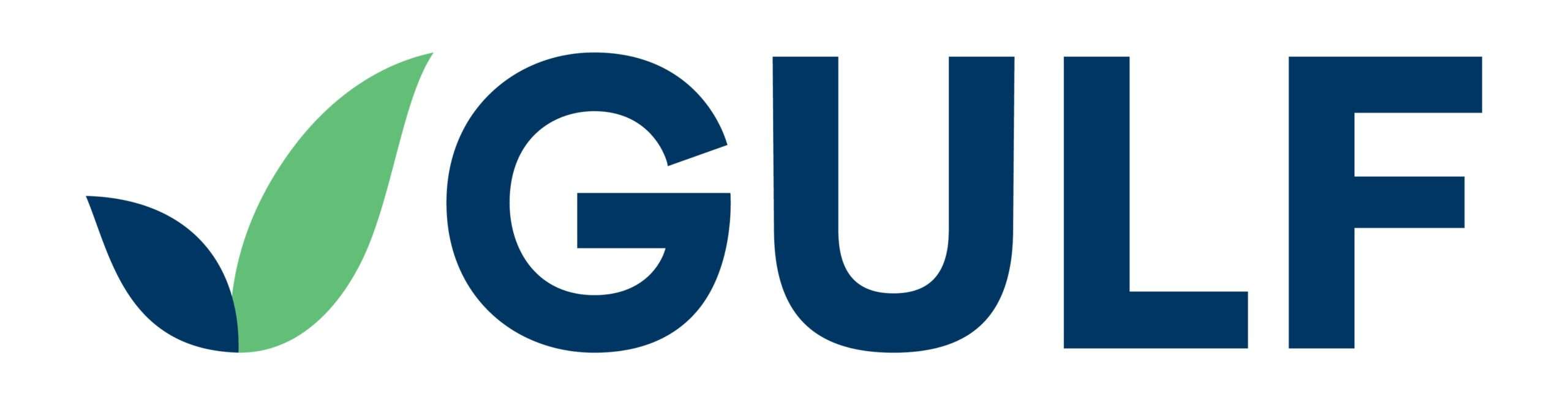 โลโก้แบรนด์อย่างเป็นทางการของบริษัท กัลฟ์ ดีเวลลอปเมนท์ จำกัด (มหาชน) หรือ GULF โดดเด่นด้วยตัวอักษรสีน้ำเงินและสัญลักษณ์ใบไม้สีเขียวและสีน้ำเงิน