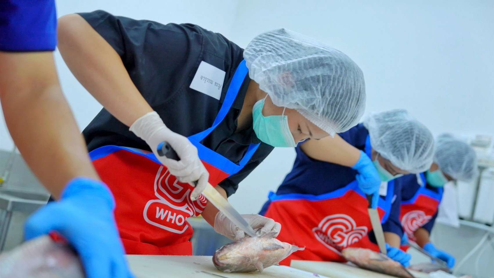 ภาพนักศึกษากำลังตั้งใจฝึกปฏิบัติการใช้มีดแล่และตัดแต่งเนื้อปลาอย่างถูกวิธี ภายใต้การดูแลในโครงการฝึกอบรมของ โก โฮลเซลล์ เพื่อเตรียมความพร้อมสู่ตลาดแรงงาน