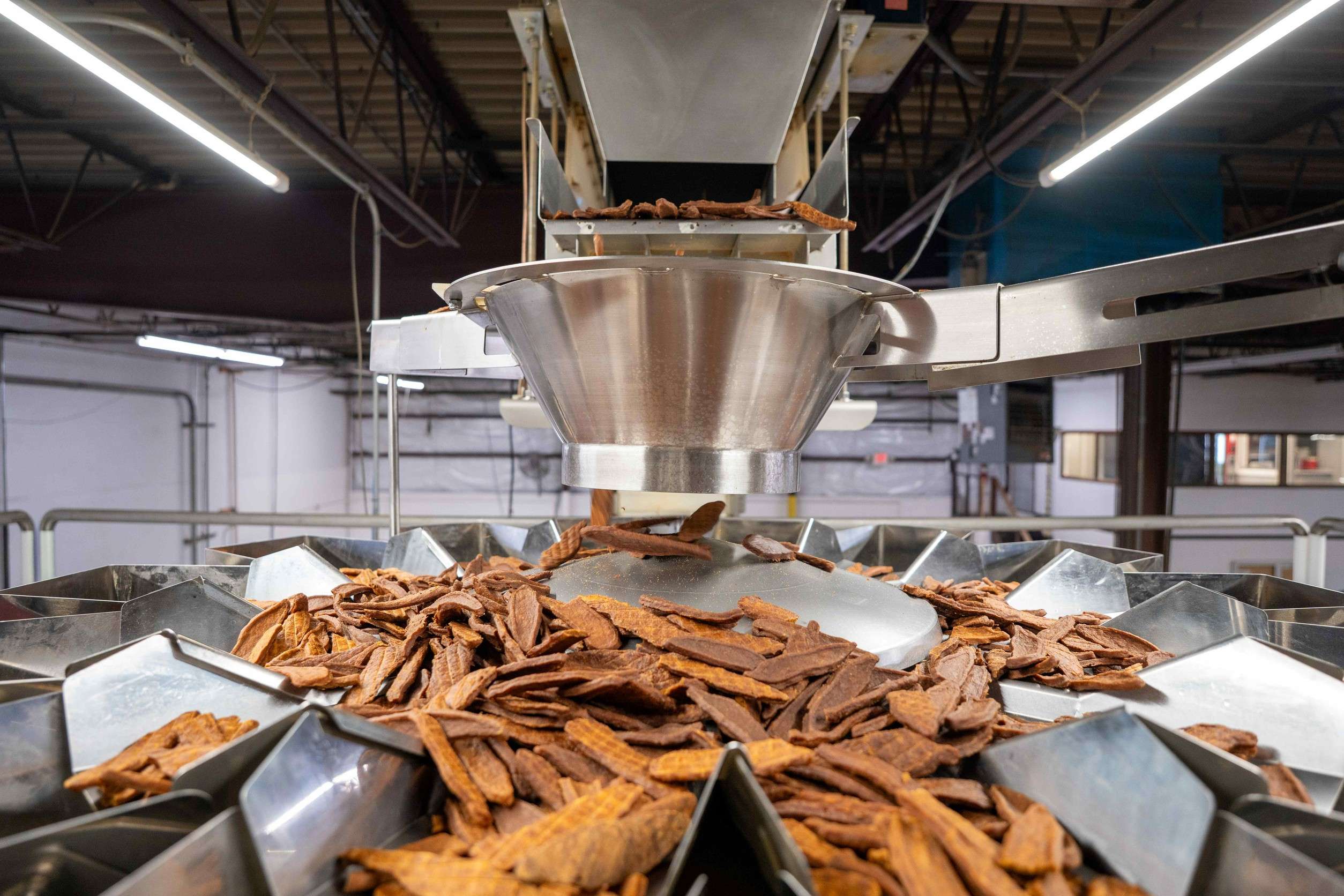 เครื่องจักรในสายการผลิตกำลังลำเลียงขนมสัตว์เลี้ยงสไตล์เนื้ออบแห้ง (Jerky-style) รูปร่างแบนสีน้ำตาลลงสู่ถาดรองรับรูปทรงกรวยสแตนเลสภายในโรงงานของ Phelps Pet Products