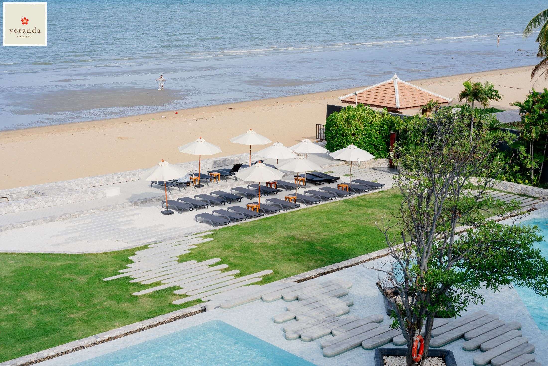 ภาพมุมสูงของพื้นที่พักผ่อนริมชายหาดโรงแรมวีรันดา รีสอร์ท แสดงให้เห็นสระว่ายน้ำ เตียงอาบแดดพร้อมร่มสีขาวเรียงรายบนสนามหญ้าสีเขียว และทิวทัศน์ชายหาดพัทยาที่ทอดยาวไปถึงทะเล